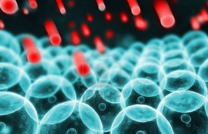 Las Nano-biointeracciones y las Nanopatologías