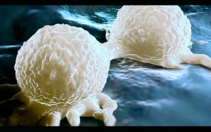Investigadores descubren cómo algunos tipos de cáncer obligan a otras células a crear virus falsos