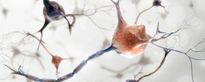 Células madre "reprogramadas" implantadas en pacientes con Parkinson