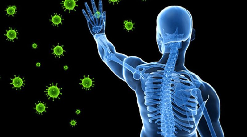 Decodificando el sistema inmunológico humano