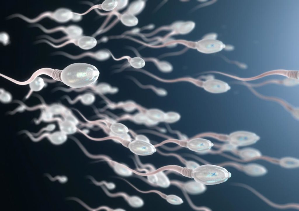 4 Maneras de mejorar el esperma