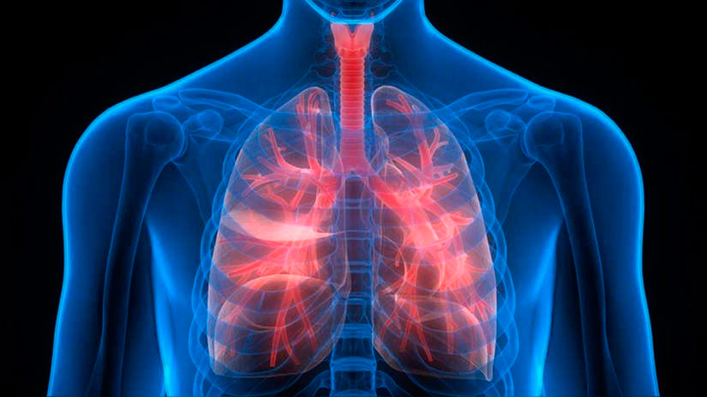 Enfermedades respiratorias, enfermades del aparato respiratorio