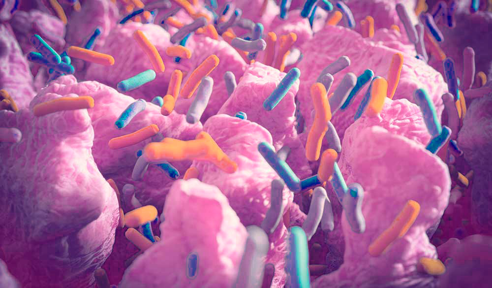 bacterias más letales del mundo