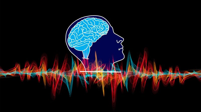 La estimulación cerebral puede alterar la respuesta inmunitaria
