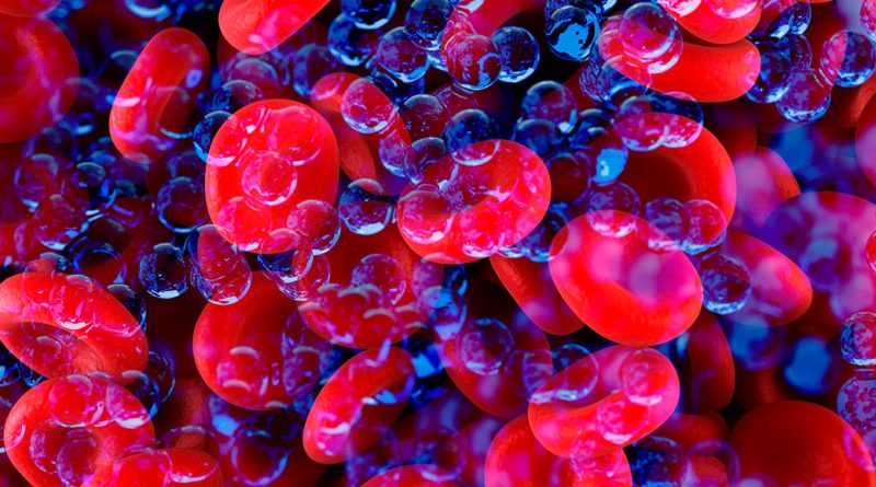 Encuentran por primera vez microplásticos en la sangre