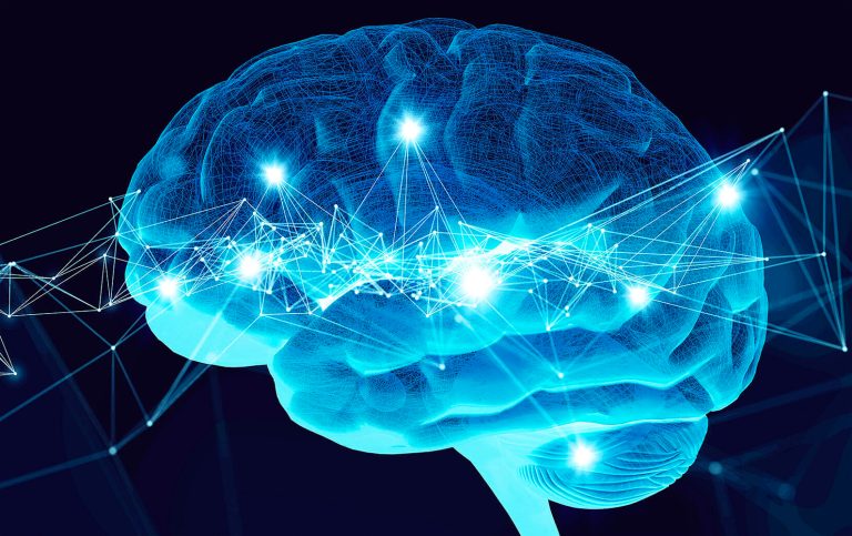 La regeneración cerebral es real y esto es lo que se sabe