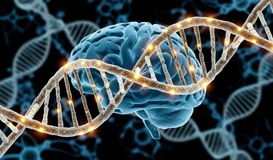 ¿Por qué ocurre el autismo? Las pistas que la investigación nos da